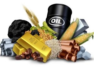 ما هي أسهم السلع وما هي فؤادها   