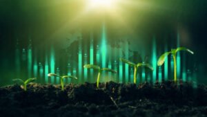 السيولة في الأسواق