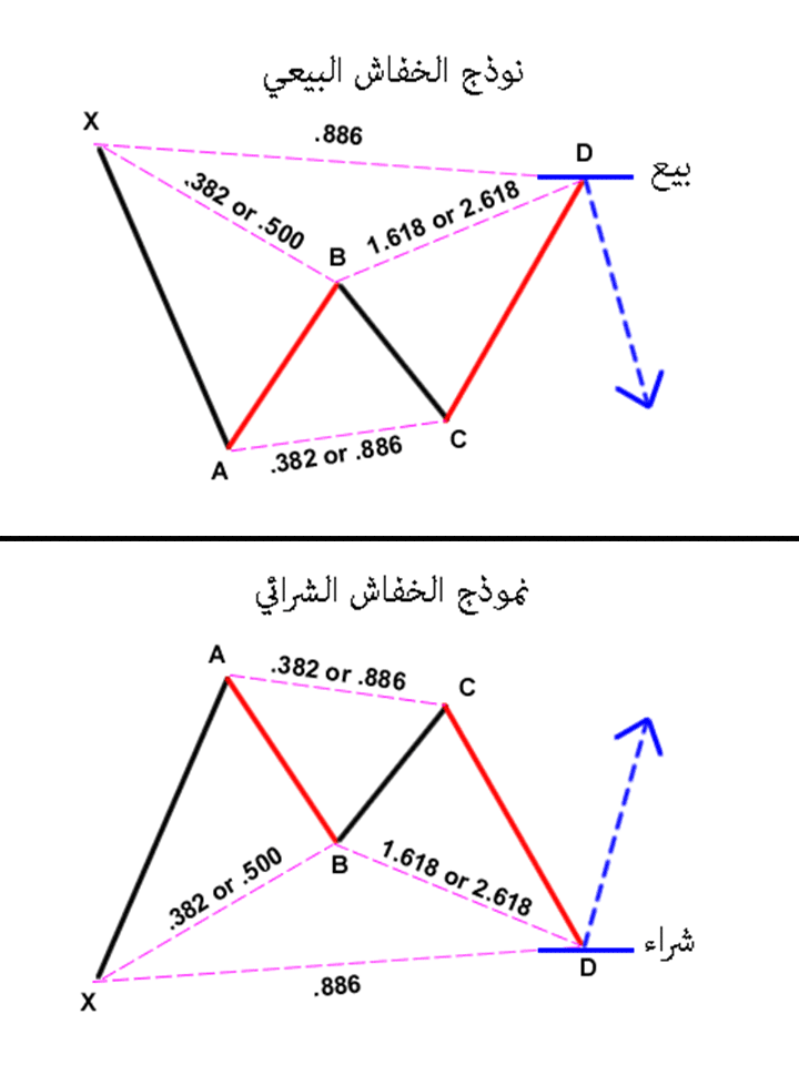 ما هي نماذج الهارمونيك؟ 