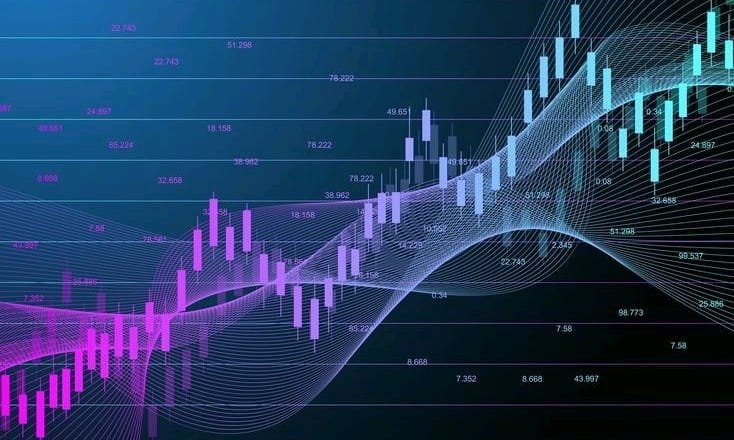 دليل المستثمر لتوزيعات الأرباح: استثمار، نمو، وعوائد ثابتة