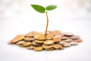 الهامش في التداول: المفهوم، الهامش الحر، وكيف يُحسب العائد