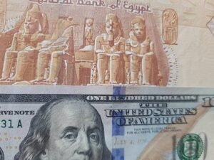 الدولار يستقر دون 50 جنيهًا مع تقدم جديد في برنامج مصر مع صندوق النقد